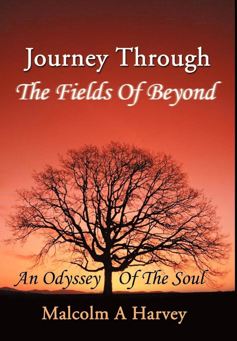 Journey Through The Fields Of Beyond 1