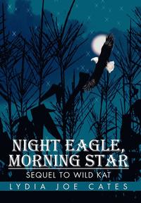 bokomslag Night Eagle, Morning Star