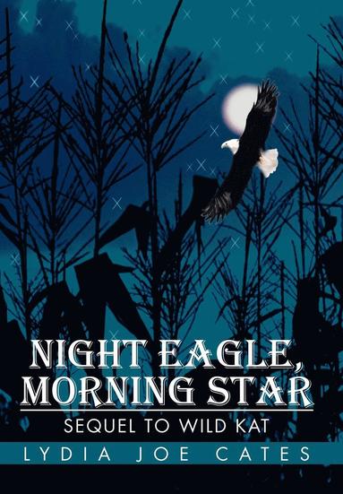 bokomslag Night Eagle, Morning Star