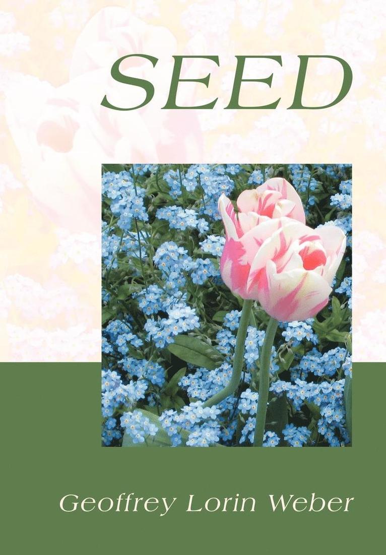 seed 1