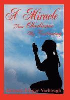 bokomslag Miracle--Your Obedience My Testimony