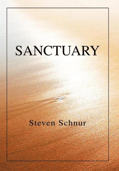 Steven Schnur - Sanctuary, Inbunden