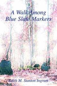 bokomslag Walk Among Blue Slate Markers
