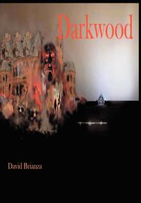 bokomslag Darkwood