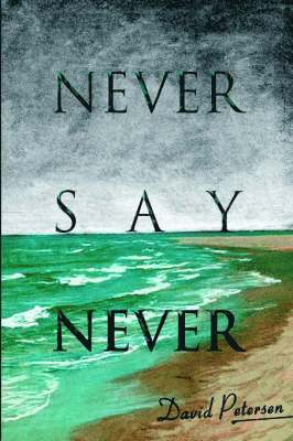 David Petersen - Never Say Never, Inbunden