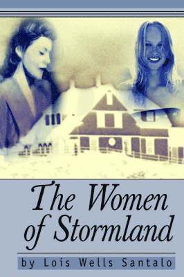 bokomslag The Women of Stormland