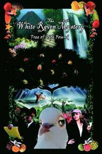 bokomslag White Raven Mystery