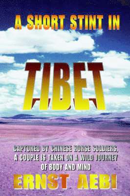 bokomslag A Short Stint in Tibet