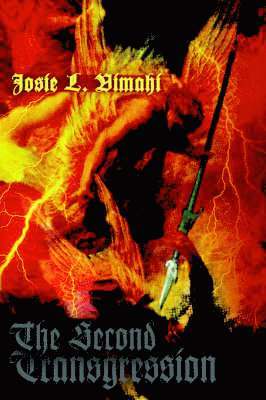 bokomslag Second Transgression
