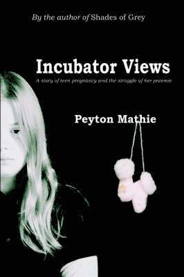 Incubator Views 1