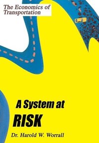 bokomslag A System at Risk