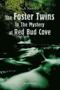 bokomslag The Foster Twins In The Mystery at Red Bud Cove