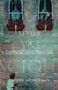 bokomslag Levels of Consciousness