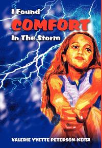 bokomslag I Found Comfort In The Storm