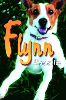 Flynn 1