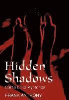 bokomslag Hidden Shadows
