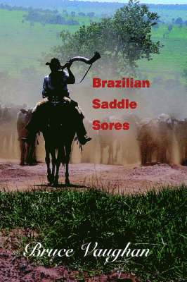 Brazilian Saddle Sores 1