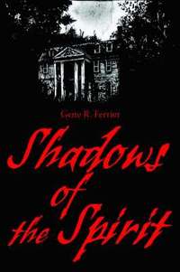 bokomslag Shadows of the Spirit