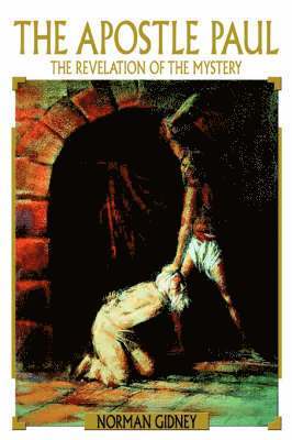 bokomslag Apostle Paul