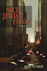 bokomslag Nice Jewish Felon