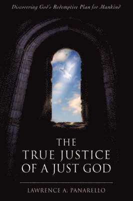 bokomslag True Justice of a Just God