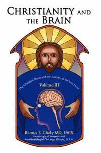 bokomslag Christianity and the Brain