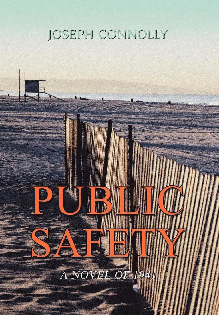 Public Safety 1