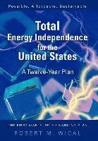 bokomslag Total Energy Independence for the United States