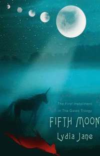 bokomslag Fifth Moon