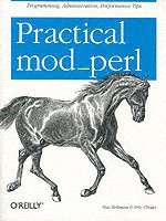 bokomslag Practical Mod Perl