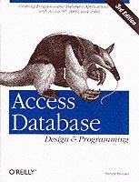 bokomslag Access Database Design & Programming