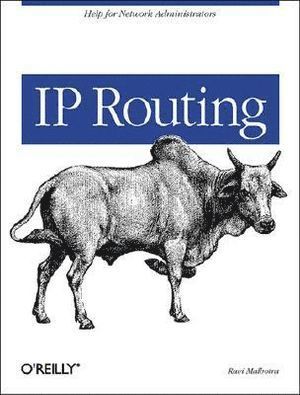 bokomslag IP Routing