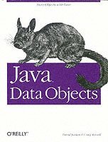 bokomslag Java Data Objects