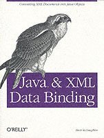 bokomslag Java & XML Data Binding