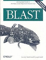 Blast 1