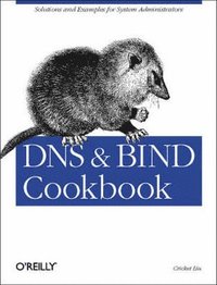 bokomslag DNS & Bind Cookbook