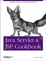 bokomslag Java Servlet and JSP Cookbook