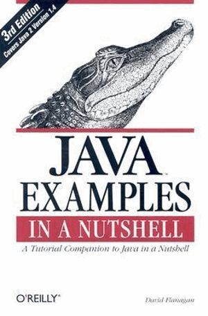 David Flanagan - Java Examples in a Nutshell, Häftad