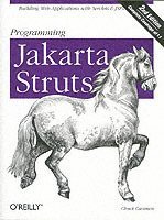 bokomslag Programming Jakarta Struts 2e