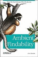 Ambient Findability 1