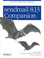 bokomslag Sendmail 8.13 Companion