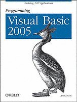 bokomslag Programming Visual Basic