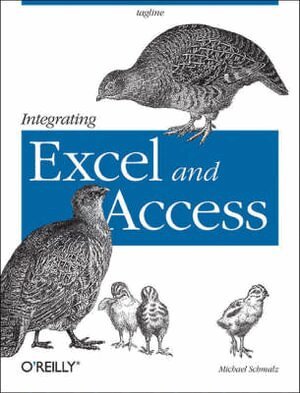 Michael Schmalz - Integrating Excel and Access, Häftad