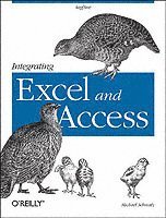 Integrating Excel and Access 1