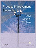 bokomslag Process Improvement Essentials