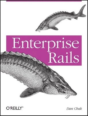 bokomslag Enterprise Rails