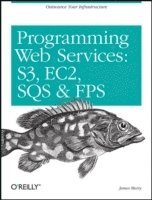 bokomslag Programming Amazon Web Services: S3, EC2, SQS, FPS, and SimpleDB