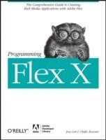 Chafic Kazoun, Joey Lott - Programming Flex 3, Häftad