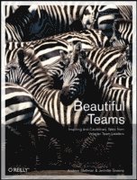 bokomslag Beautiful Teams: Inspiring And Cautionary Tales From Veteran Team Leaders