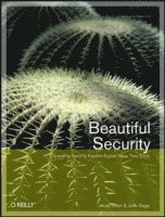 bokomslag Beautiful Security